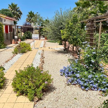 B&B Casa Azul Crevillente Luaran gambar