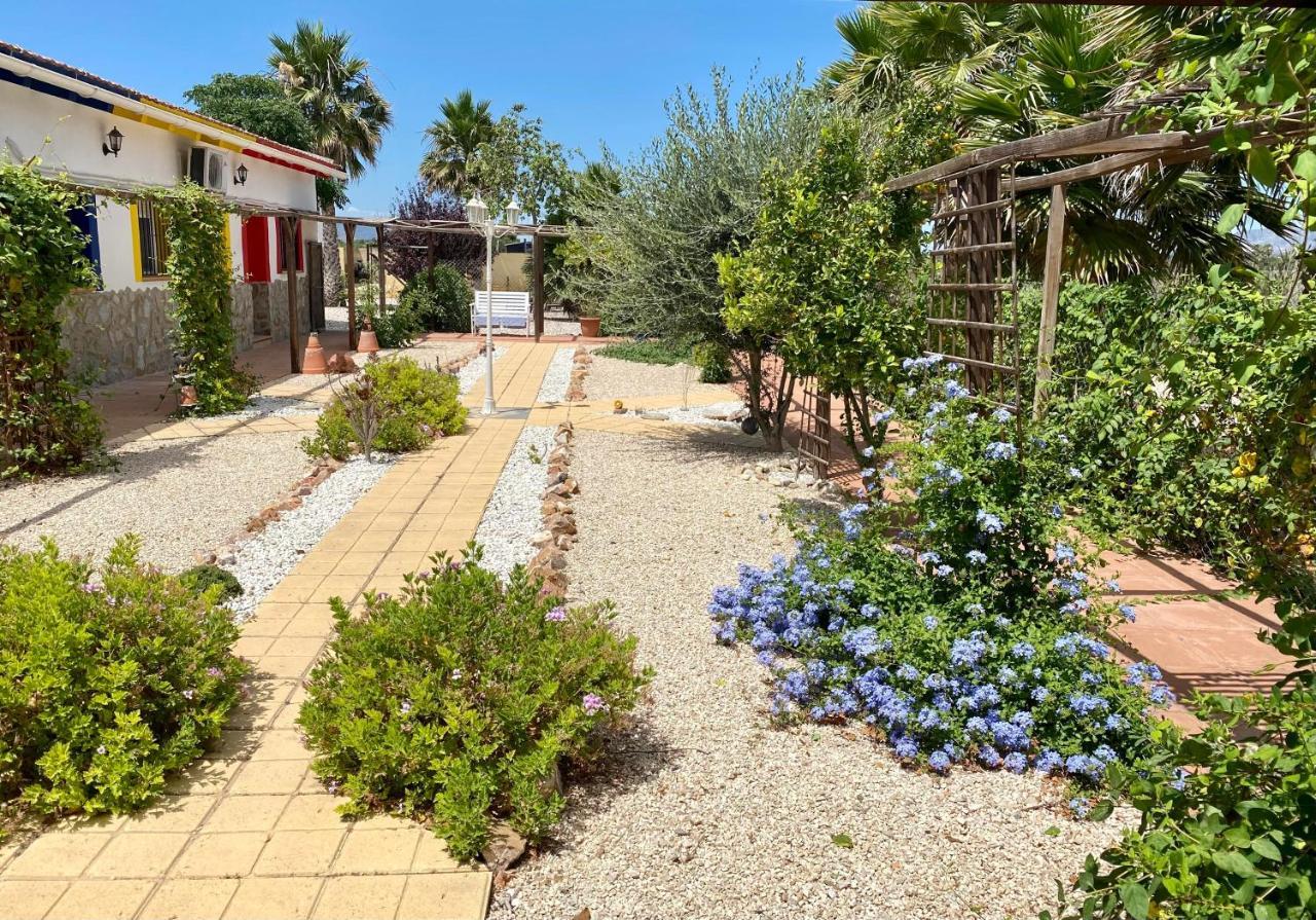 B&B Casa Azul Crevillente Luaran gambar